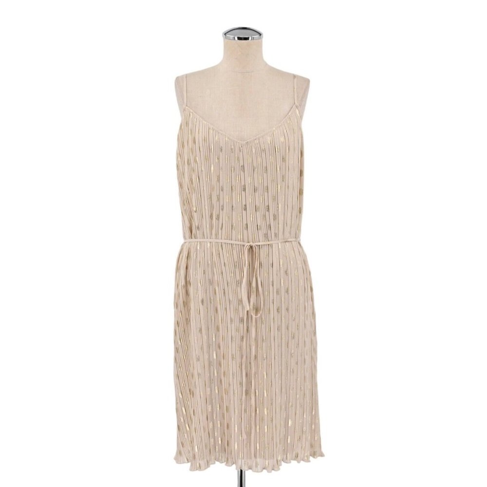 Express Beige Pleated Dress